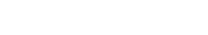 Sivarama Swami Media